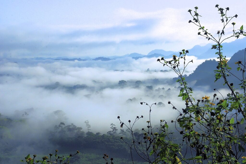 ワキガの汗を拭き取りする方法は？