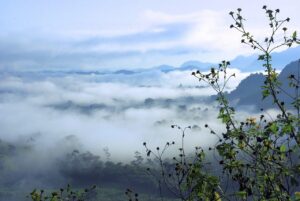 ワキガの汗を拭き取りする方法は？