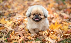 中学生がわきがを自力で治す方法は？