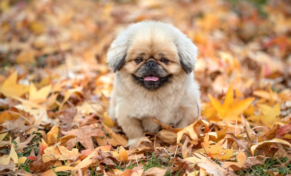 思春期のワキガは治る可能性があるのか？