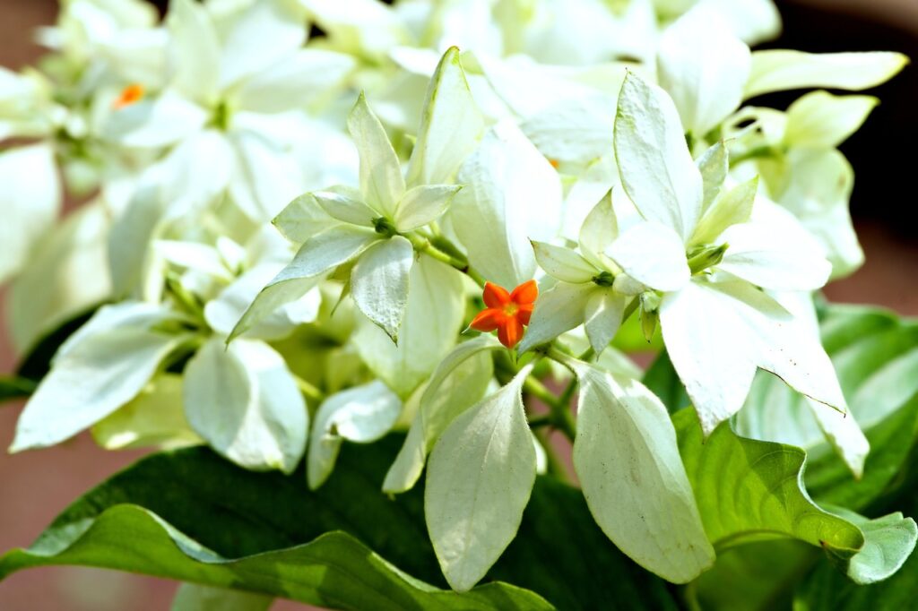 思春期のワキガは完治する方法はある？