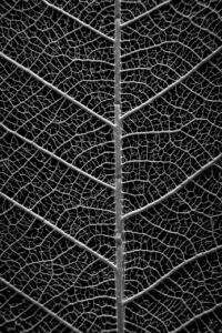 高校生が体育前に使うワキガ対策のデオドラントは？