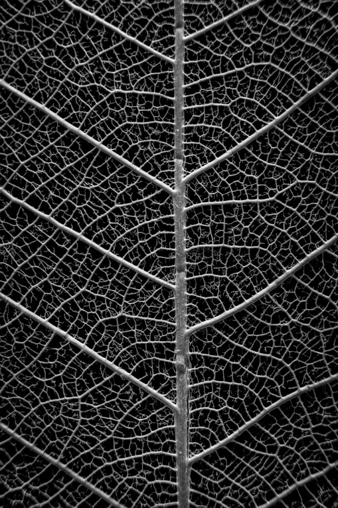 高校生が体育前に使うワキガ対策のデオドラントは？