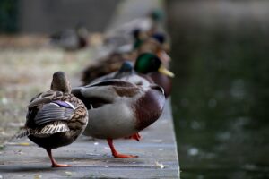 高校生が修学旅行でのワキガ対策に役立つ方法は？