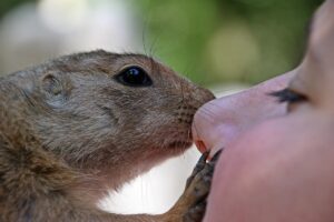 ワキガの予防に効果的なグッズはどれ？