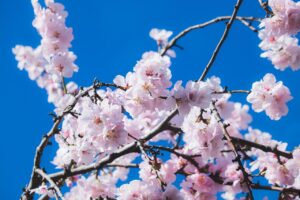 ワキガの匂いを効果的に消す方法は？